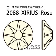 #2088 ゴールデントパーズ ss16（2022/23秋冬新色）