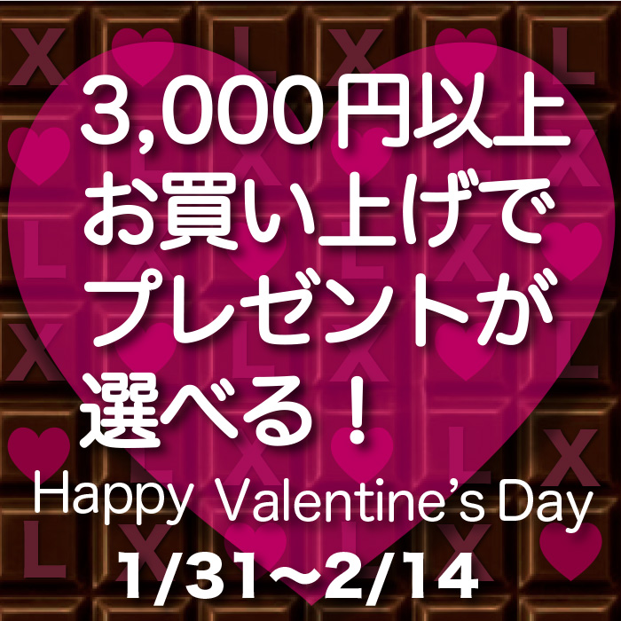 2026「バレンタインプレゼント！」スタート！！