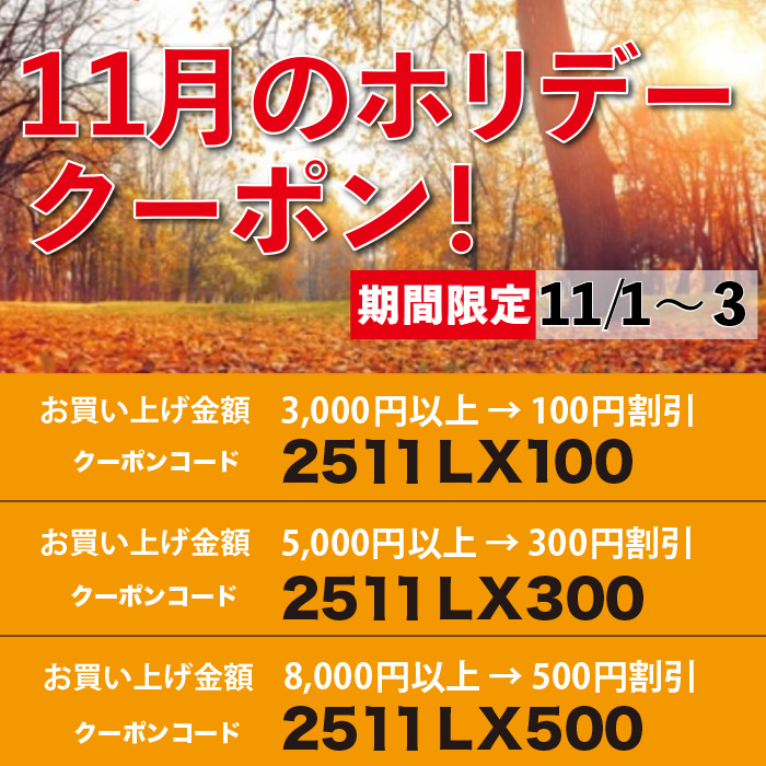 3日間限定「11月のホリデークーポン」スタート! 3日間限定「11月のホリデークーポン」スタート!