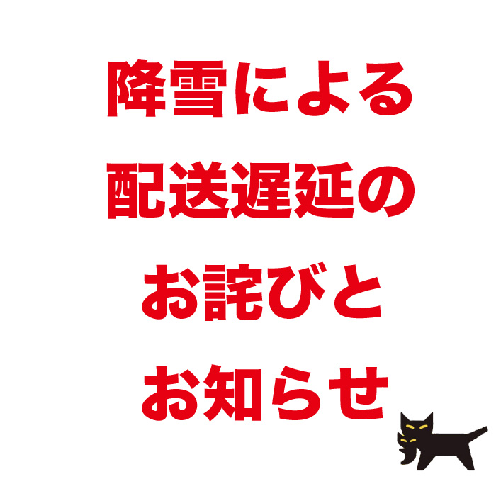 降雪による配送遅延のお詫びとお知らせ